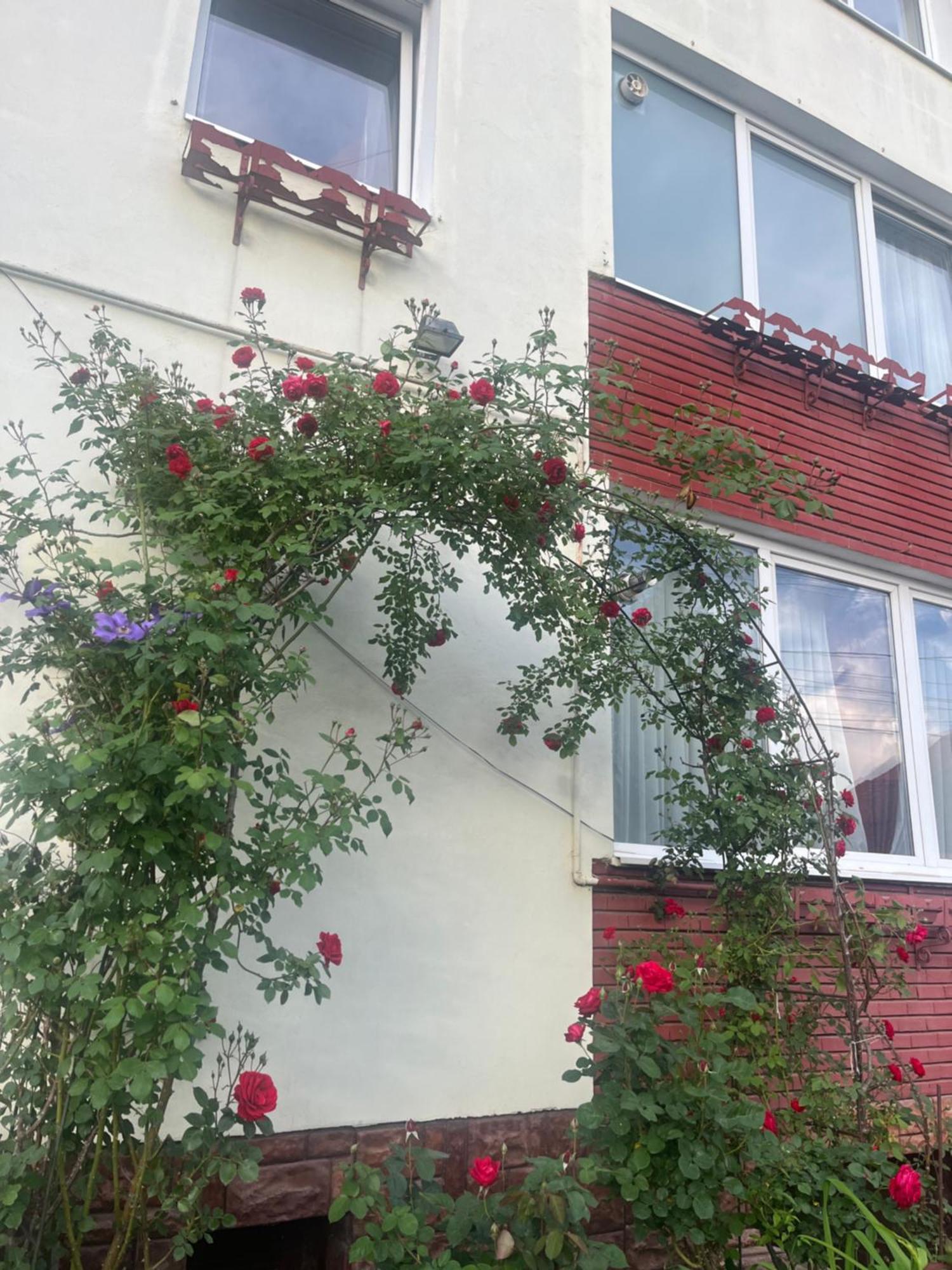 Casa Conti Hotel Sibiu Bagian luar foto