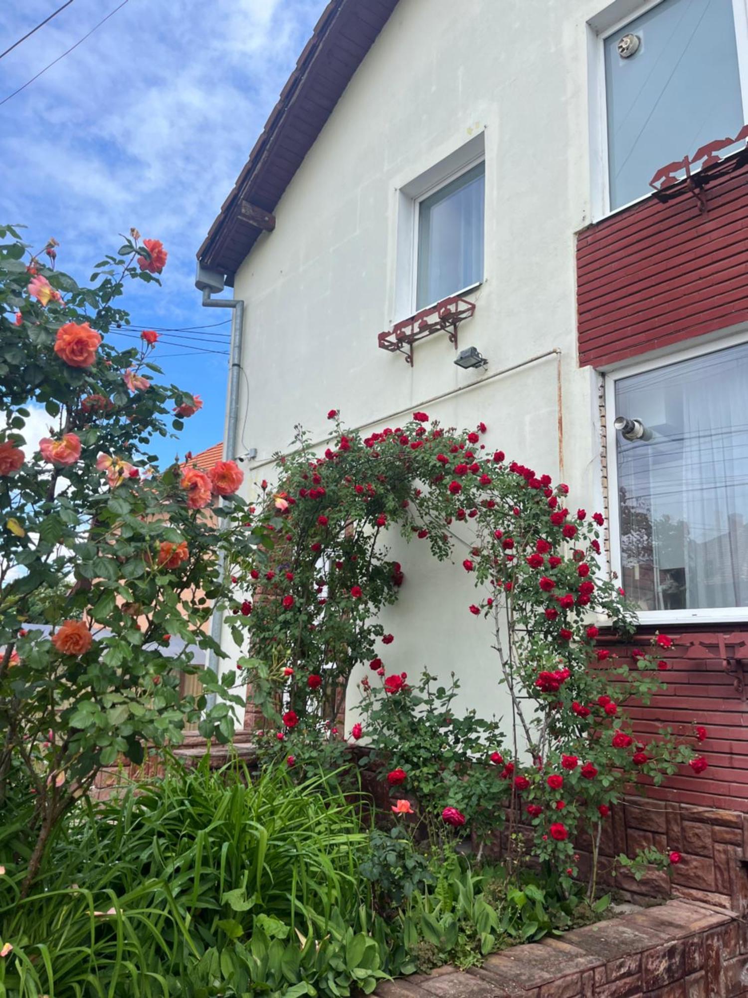 Casa Conti Hotel Sibiu Bagian luar foto